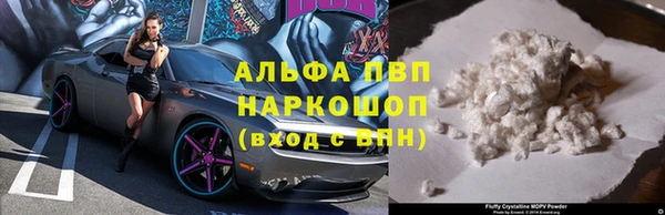 ПСИЛОЦИБИНОВЫЕ ГРИБЫ Медвежьегорск